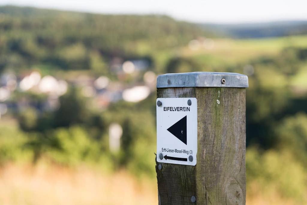 Zum Goldenen Schaf II Apartman Ahrdorf Kültér fotó